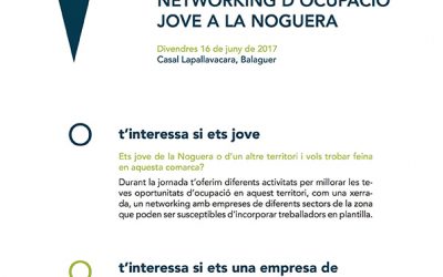 Jornada Networking d’ocupació jove a la Noguera
