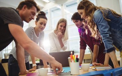 Pràcticum Odisseu: 45 ajuts per pràctiques universitàries de  joves en empreses del món rural