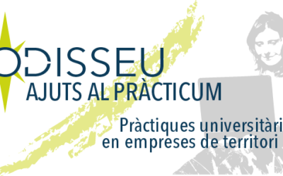 Obrim la convocatòria del programa Ajuts al Pràcticum Odisseu 2019