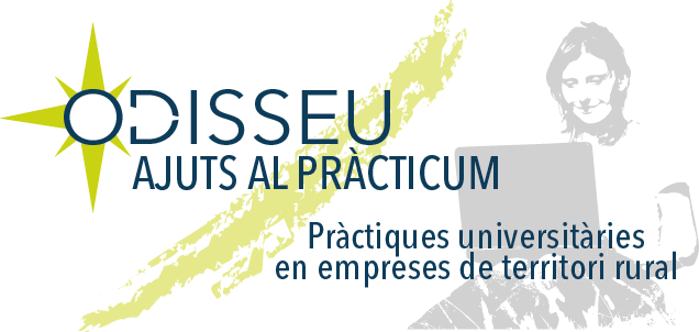 Obrim la convocatòria del programa Ajuts al Pràcticum Odisseu 2019