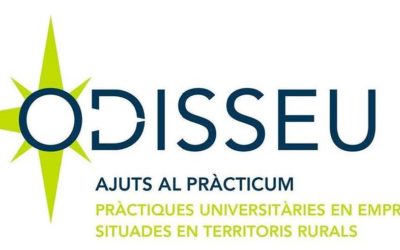 Nou termini per la presentació d’ofertes de les empreses de pràctiques