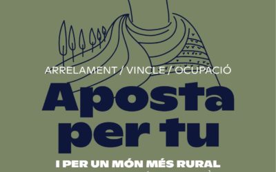 Segona Jornada Networking Odisseu per fomentar l’emprenedoria juvenil al Segrià