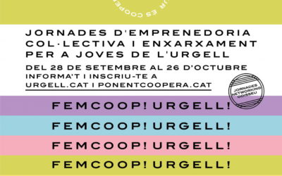 La viabilitat econòmica i el finançament cooperatiu