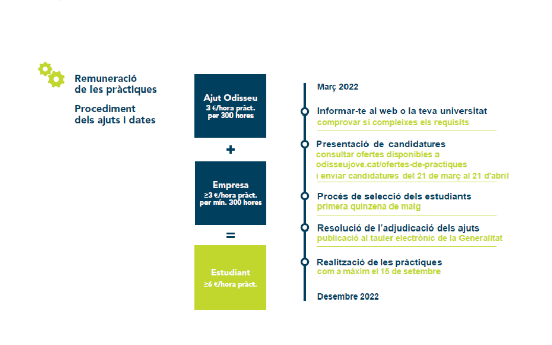 El Pràcticum Odisseu es consolida a Catalunya en la seva setena edició